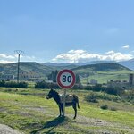 Photo taken by Jill T