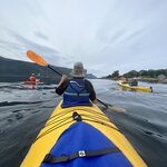 Photo taken by Katie C