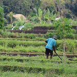 Photo taken by Laurence S