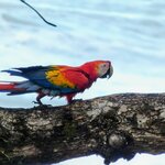 Photo taken by Brett F