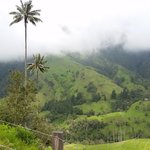 Photo taken by Michael T