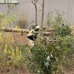 Photo taken by Dani M