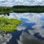 Photo taken by Maggie K