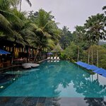 Photo taken by Nancy P