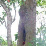 Photo taken by Brett F