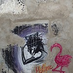 Photo taken by Janice B