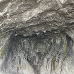 Photo taken by Michelle P