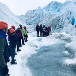 Photo taken by Janine N