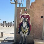 Photo taken by Paula H