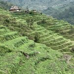 Photo taken by Ziyad H