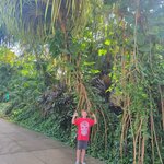 Photo taken by Kristy P