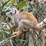 Photo taken by Randy H