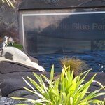 Photo taken by Don P