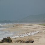 Photo taken by Brett F