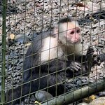 Photo taken by Natasha J