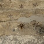 Photo taken by Stephanie K