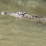 Photo taken by Judith C