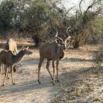 Photo taken by Paul B