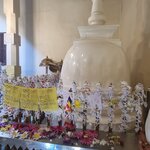 Photo taken by Tanya G