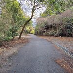 Photo taken by Zulhelmi R