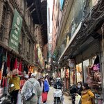 Photo taken by Willow K