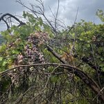 Photo taken by Janice R