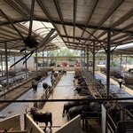 Photo taken by cassie f