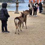 Photo taken by Zulhelmi R