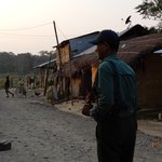 Photo taken by Wayne D