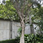 Photo taken by Lauren A