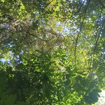 Photo taken by Phillip S