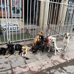 Photo taken by Gerald L