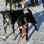 Photo taken by Tracy K