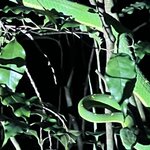 Photo taken by Sheila G