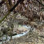 Photo taken by Paulette D