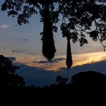 Photo taken by Sabine V