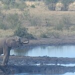 Photo taken by rhonda c