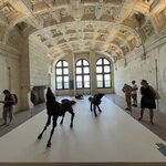 Photo taken by Queenie C