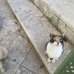 Photo taken by Lisa B