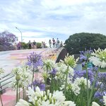 Photo taken by Bao T