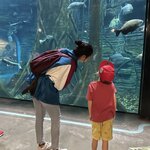 Photo taken by Celeste H