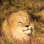 Photo taken by Joaquin M