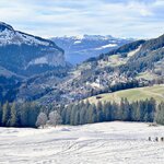 Photo taken by Lisa H