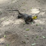 Photo taken by Brian W