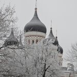 Photo taken by Anna P