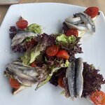 Photo taken by Dana L