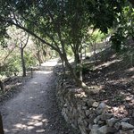 Photo taken by Victoria P