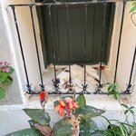 Photo taken by Ellen B