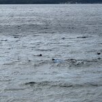 Photo taken by Kim D