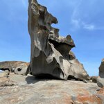 Photo taken by Susan C